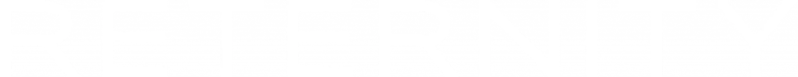 rz_logo_reternity_white